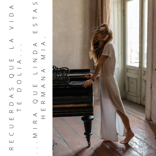 susy boutique